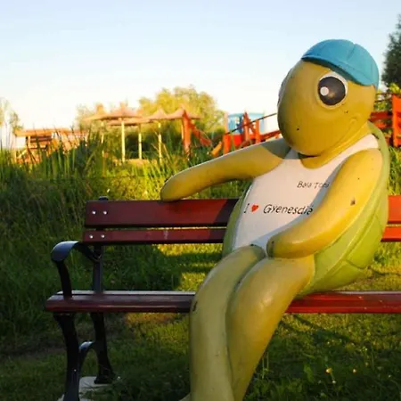 In - Balaton 33973 Prázdninový dům Gyenesdiás